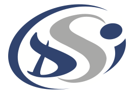DSI Logo