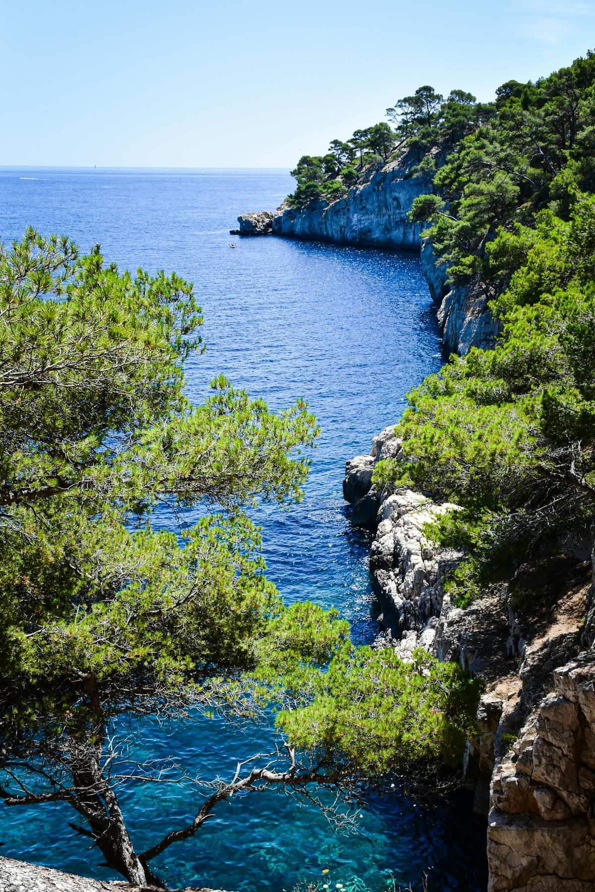 C&ocirc;te proven&ccedil;ale